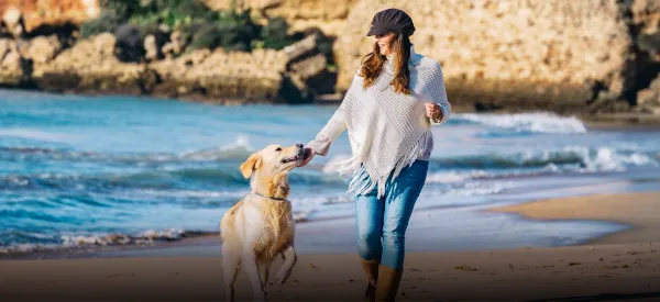 Pet-Friendly Vacations: Best Airlines, Hotels, and Destinations in 2025