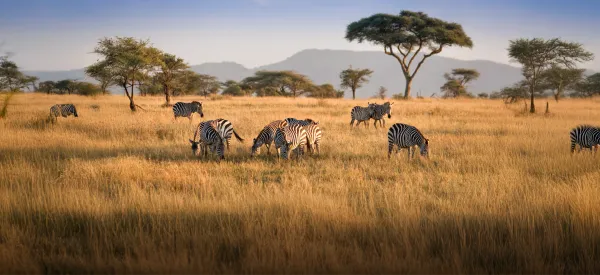 Head for a Romantic Adventure in Africa: Safari & Beach Destinations for Couples in 2025