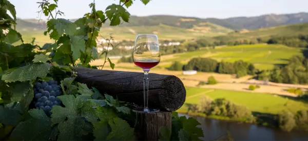 Top Ways to Enjoy the Best Wine Regions in Europe: An Unforgettable Wine Tasting Experience in 2025