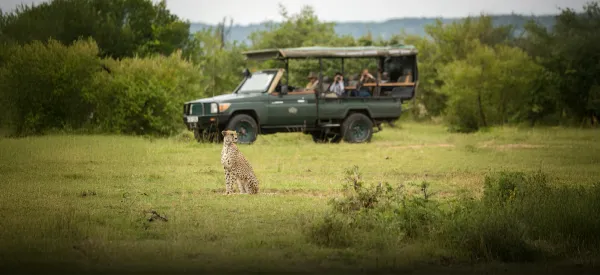 From Wildlife to Luxury: Top 7 Cities in Africa for Luxury Vacations 2025