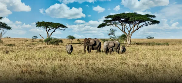 Head to Africa Solo: Top Destinations in Africa for Solo Travellers 2025
